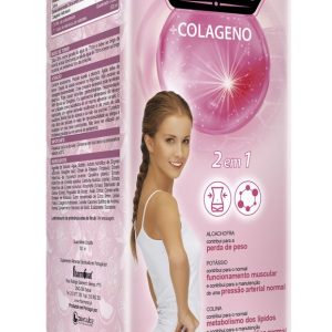 GENGIBRE LIMÃO +  COLAGÉNIO 500ML